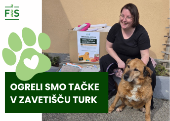 Zbiralna akcija Ogrej tačke v Zavetišču Turk (marec 2026)